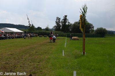 20250727_r12_023_DSC_6588.jpg