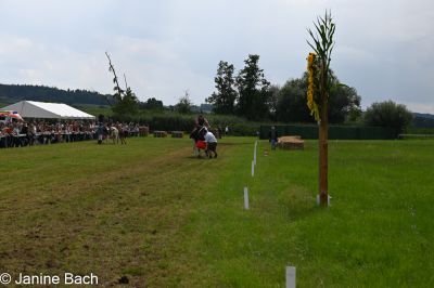 20250727_r12_024_DSC_6589.jpg