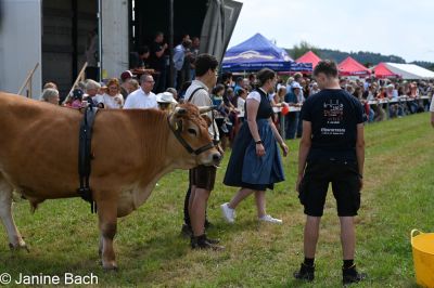 20250727_r12_027_DSC_6592.jpg