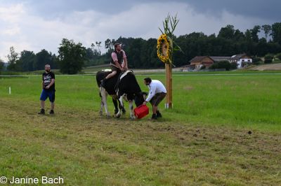 20250727_r12_033_DSC_6598.jpg