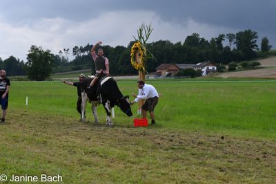 20250727_r12_036_DSC_6601.jpg