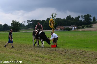 20250727_r12_038_DSC_6603.jpg