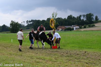 20250727_r12_040_DSC_6607.jpg