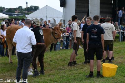 20250727_r12_046_DSC_6613.jpg