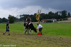 20250727_r12_038_DSC_6603.jpg