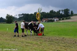 Dateiname=20250727_r12_042_DSC_6609.jpg
Dateigröße=633KB
Abmessungen: 1000x667
hinzugefügt am: 28. Juli 2025 20250727_r12_042_DSC_6609.jpg