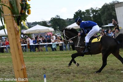 20250727_r13_011_DSC_6636.jpg