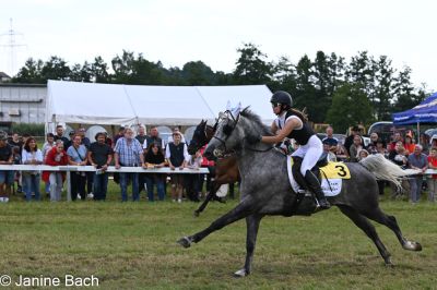 20250727_r13_013_DSC_6639.jpg