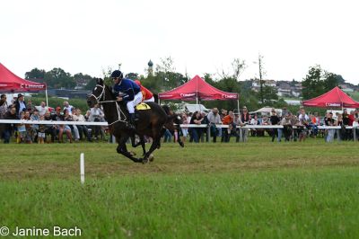 20250727_r13_019_DSC_6646.jpg