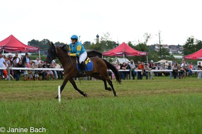 20250727_r13_044_DSC_6671.jpg