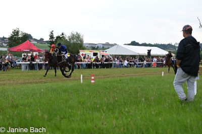 20250727_r13_051_DSC_6678.jpg