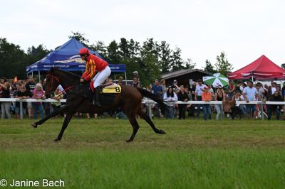 20250727_r13_110_DSC_6738.jpg