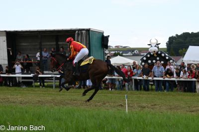 20250727_r13_114_DSC_6742.jpg