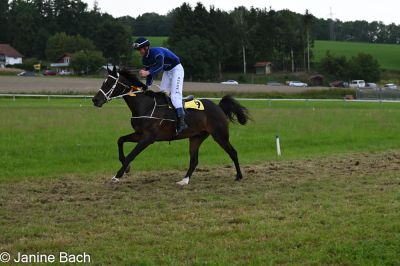 20250727_r13_191_DSC_6828.jpg