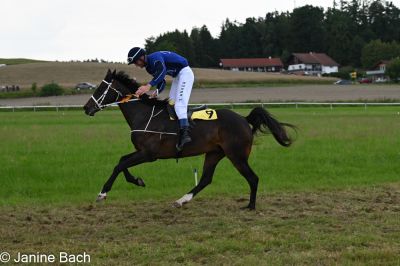 20250727_r13_193_DSC_6830.jpg