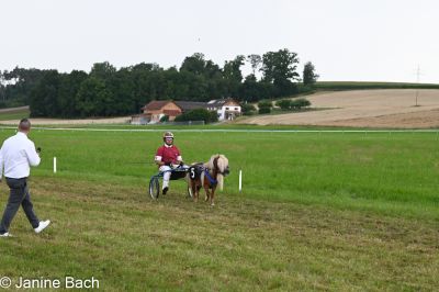 20250727_r14_001_DSC_6836.jpg