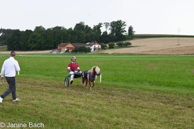 20250727_r14_002_DSC_6837.jpg
