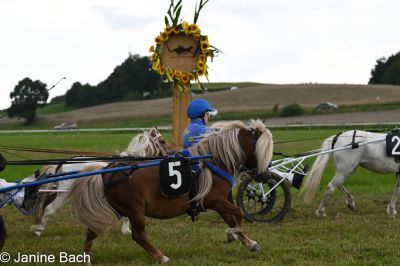 20250727_r14_042_DSC_6877.jpg