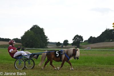 20250727_r14_114_DSC_6951.jpg