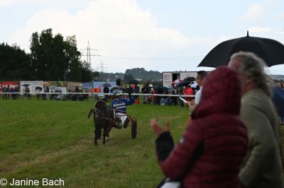 20250727_r14_159_DSC_7002.jpg