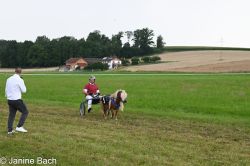Dateiname=20250727_r14_003_DSC_6838.jpg
Dateigröße=549KB
Abmessungen: 1000x667
hinzugefügt am: 28. Juli 2025 20250727_r14_003_DSC_6838.jpg