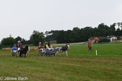 20250727_r14_027_DSC_6862.jpg