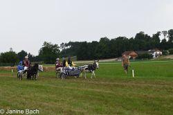 20250727_r14_029_DSC_6864.jpg
