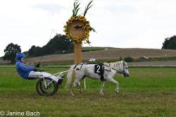 Dateiname=20250727_r14_085_DSC_6921.jpg
Dateigröße=490KB
Abmessungen: 1000x667
hinzugefügt am: 28. Juli 2025 20250727_r14_085_DSC_6921.jpg