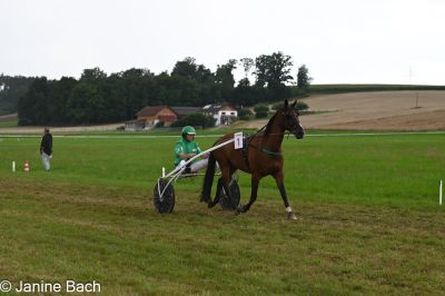 20250727_r15_009_DSC_7022.jpg