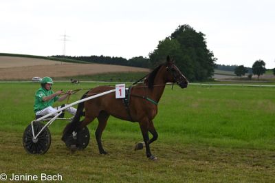 20250727_r15_012_DSC_7025.jpg