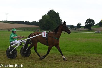 20250727_r15_013_DSC_7026.jpg