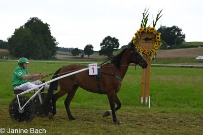 20250727_r15_015_DSC_7028.jpg