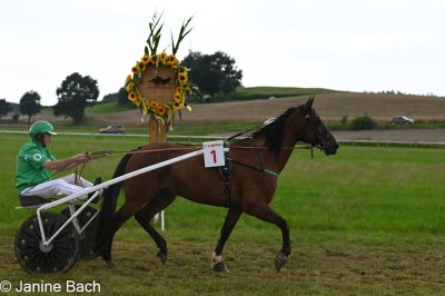20250727_r15_017_DSC_7030.jpg