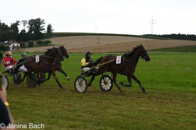 20250727_r15_033_DSC_7060.jpg
