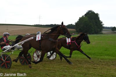 20250727_r15_070_DSC_7107.jpg