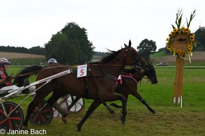 20250727_r15_071_DSC_7108.jpg
