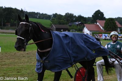20250727_r15_128_DSC_7173.jpg