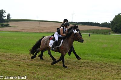 20250727_r16_012_DSC_7191.jpg