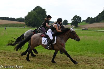 20250727_r16_014_DSC_7193.jpg