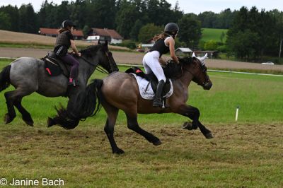 20250727_r16_018_DSC_7197.jpg