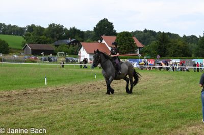 20250727_r16_028_DSC_7207.jpg