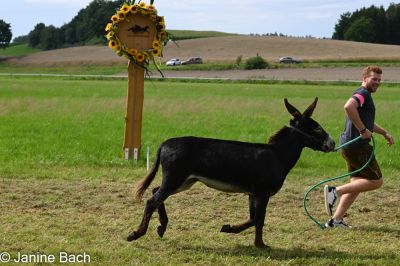 20250727_r17_013_DSC_7259.jpg