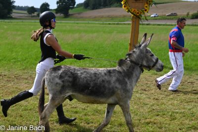 20250727_r17_016_DSC_7263.jpg