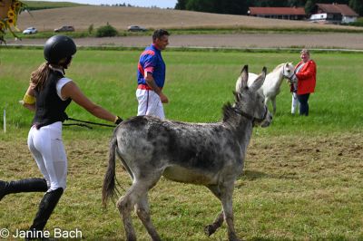 20250727_r17_018_DSC_7265.jpg