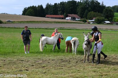 20250727_r17_028_DSC_7275.jpg
