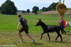 20250727_r17_057_DSC_7304.jpg