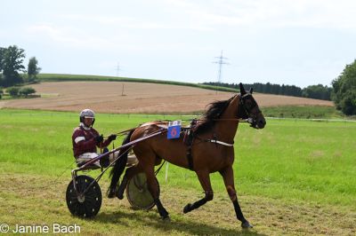 20250727_r18_003_DSC_7310.jpg
