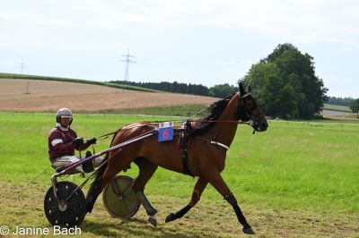 20250727_r18_004_DSC_7311.jpg