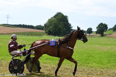 20250727_r18_005_DSC_7312.jpg