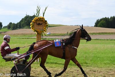20250727_r18_008_DSC_7315.jpg